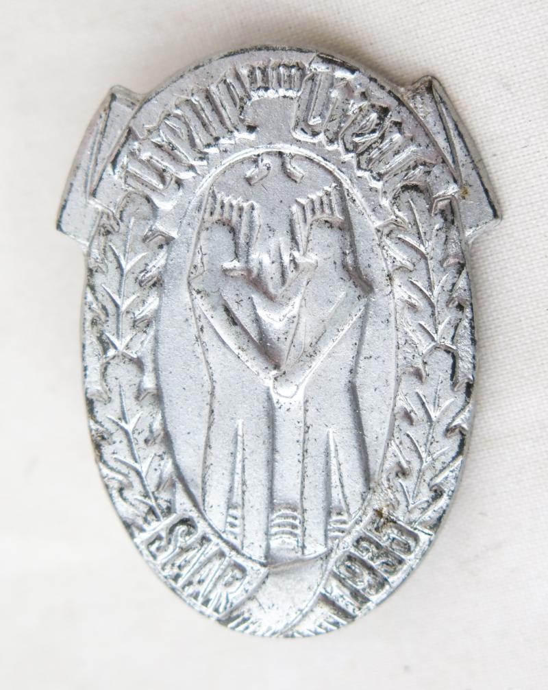 German 1930s Third reich day badge -  Treu um Treu  Saar 1935