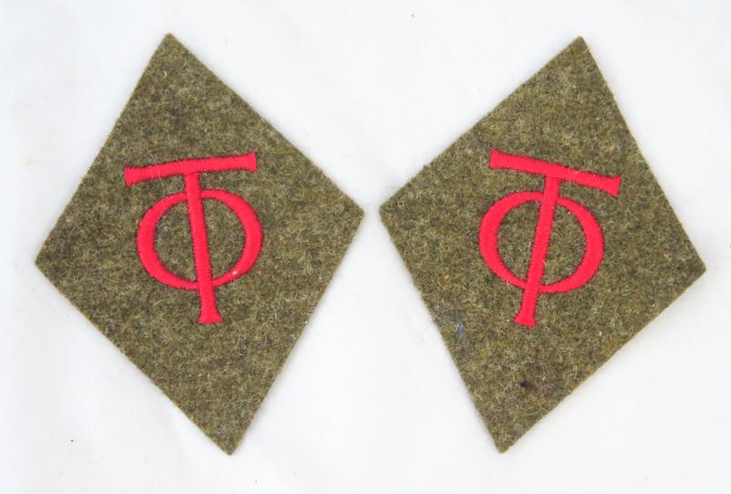 WW2 German Organisation Todt collar tabs